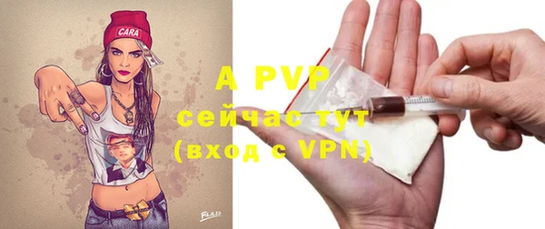 индика Наволоки