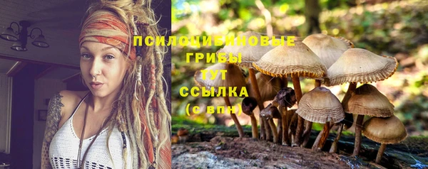 мет Нея
