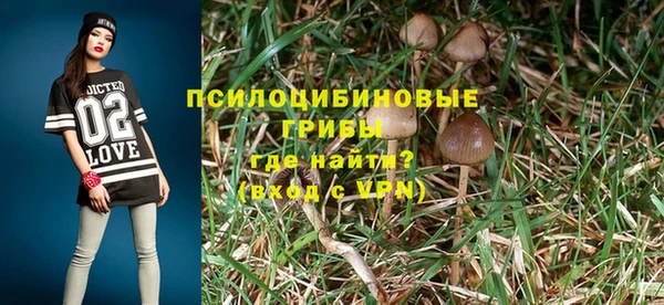 дурь Нефтегорск