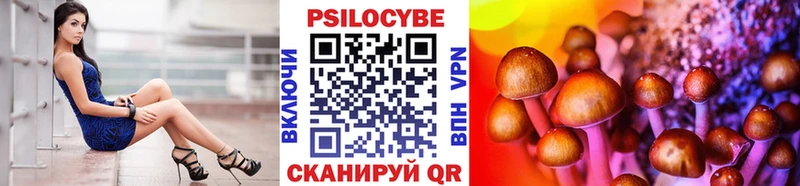 Псилоцибиновые грибы ЛСД  где можно купить наркотик  Черногорск 